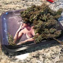 Extra Large 14" x 12" Trimming Tray (Rolling Tray) - Green Goddess Supply